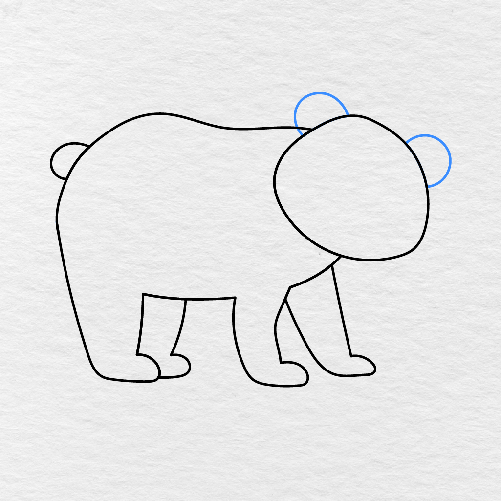 Step 4 Showing How To Draw A Bear With Two Rounded Ears Added To The Head.