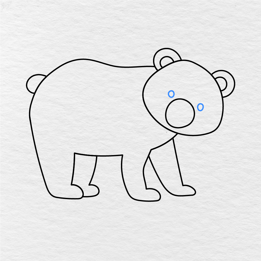 Step 7 Showing How To Draw A Bear With Two Small Oval Eyes.