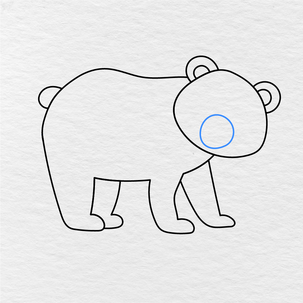 Step 6 Showing How To Draw A Bear With A Rounded Muzzle On The Face.
