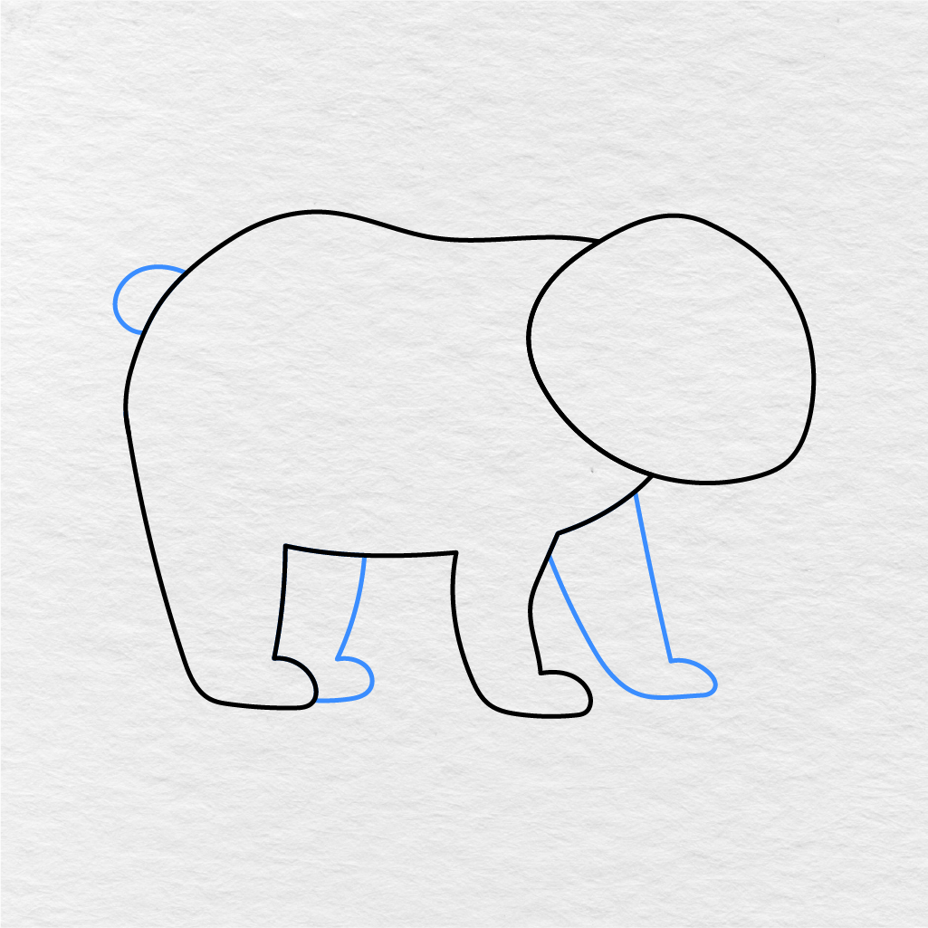 Step 3 Showing How To Draw A Bear With A Small Tail And Extra Leg Lines.
