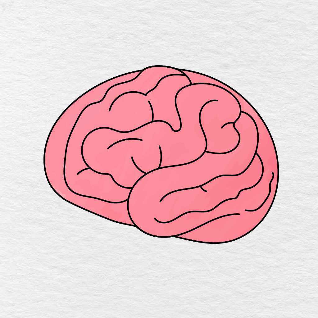 Finished Brain Drawing Colored With Several Light And Dark Shades Of Pink.
