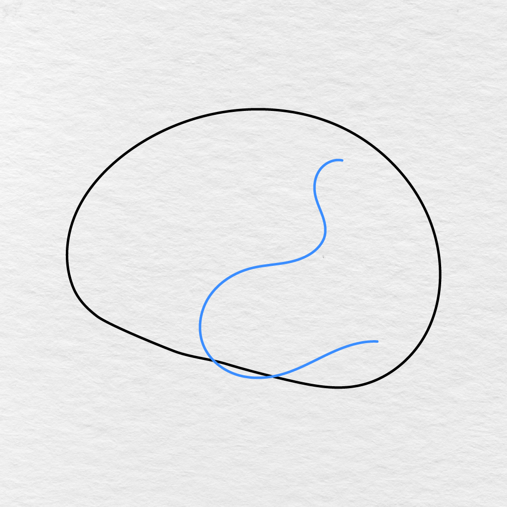 Step 2 Showing A Long Curved Inner Line Added From The Upper Right To The Lower Brain.