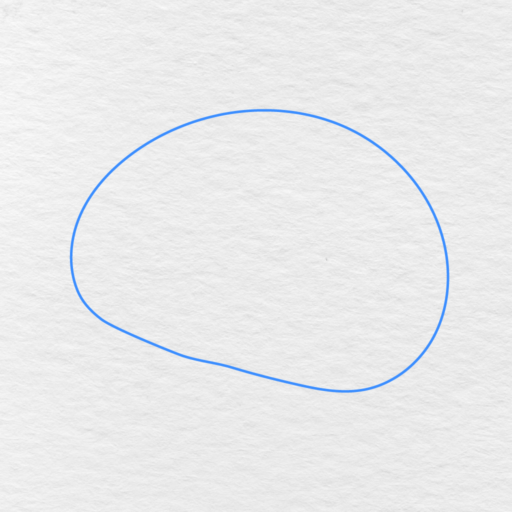 Step 1 Showing A Large Rounded Outline For The Basic Shape Of The Brain.