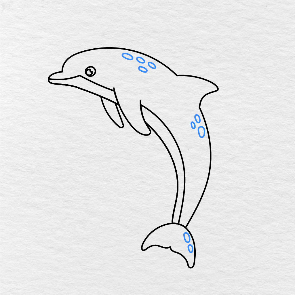 Step 8 Showing How To Draw A Dolphin With Small Oval Markings On The Body And Tail.