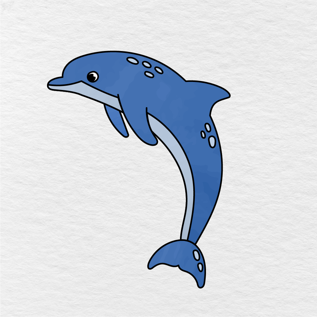 Step 9 Showing The Final Result Of A Blue Dolphin Drawing With A Light Belly And Small Markings.