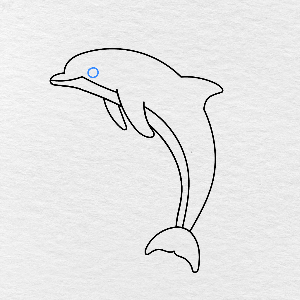 Step 6 Showing How To Draw A Dolphin With A Small Round Eye.