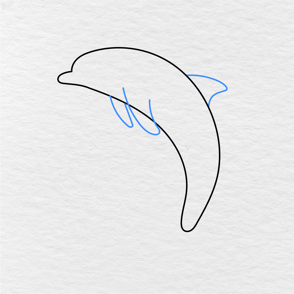 Step 3 Showing How To Draw A Dolphin With The Dorsal Fin And Two Flippers.