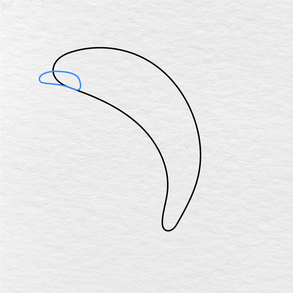 Step 2 Showing How To Draw A Dolphin With A Rounded Mouth And Lower Face Line.