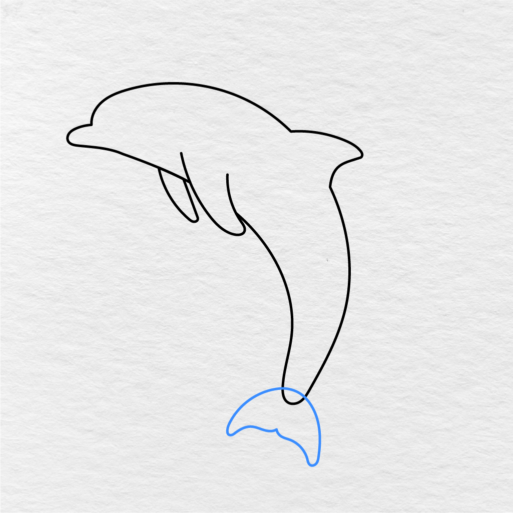Step 4 Showing How To Draw A Dolphin With A Curved Tail Fin At The Bottom.