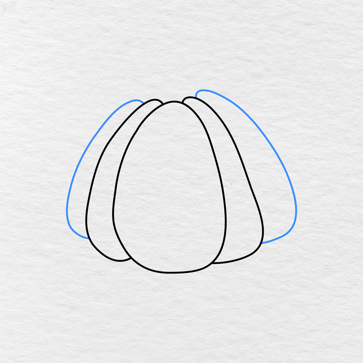 Step 3 Showing How To Draw A Pumpkin With Two Outer Sections And Five Visible Sections In Total.
