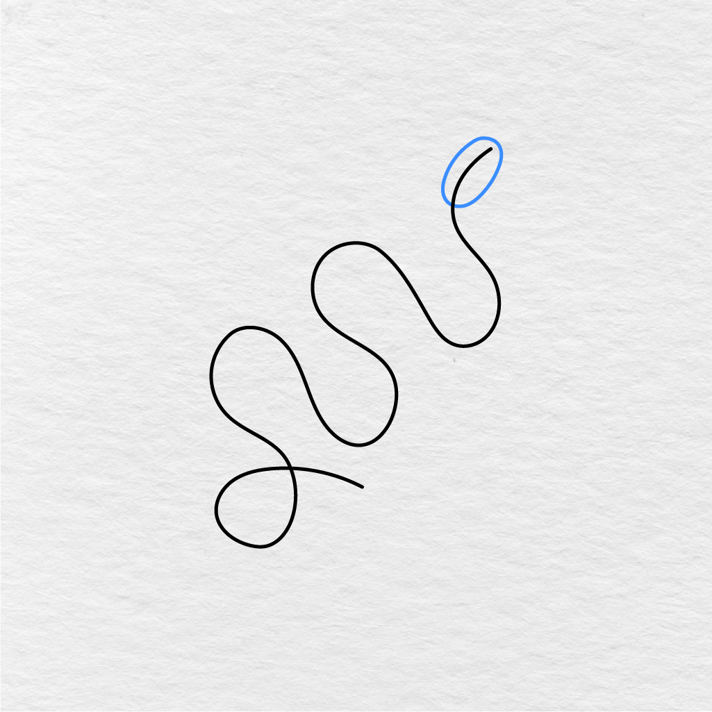 Step 2 Showing How To Draw A Snake With A Rounded Head Shape And Mouth Line.