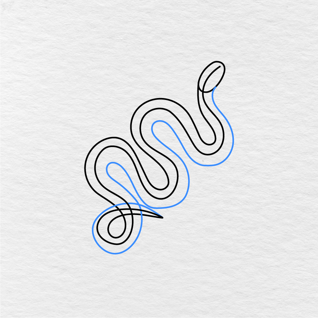 Step 4 Showing How To Draw A Snake With Inner Body Lines For The Curved Shape.