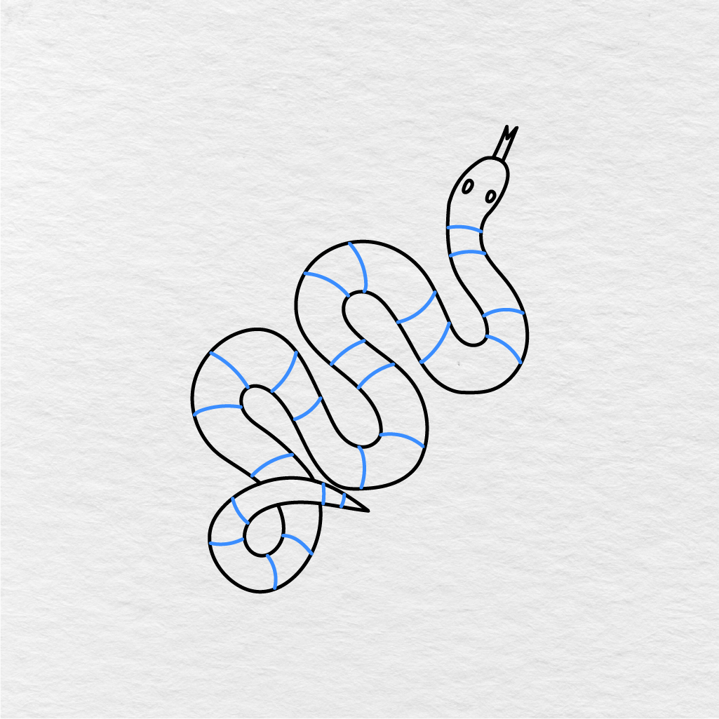 Step 7 Showing How To Draw A Snake With Curved Pattern Lines Across The Body.