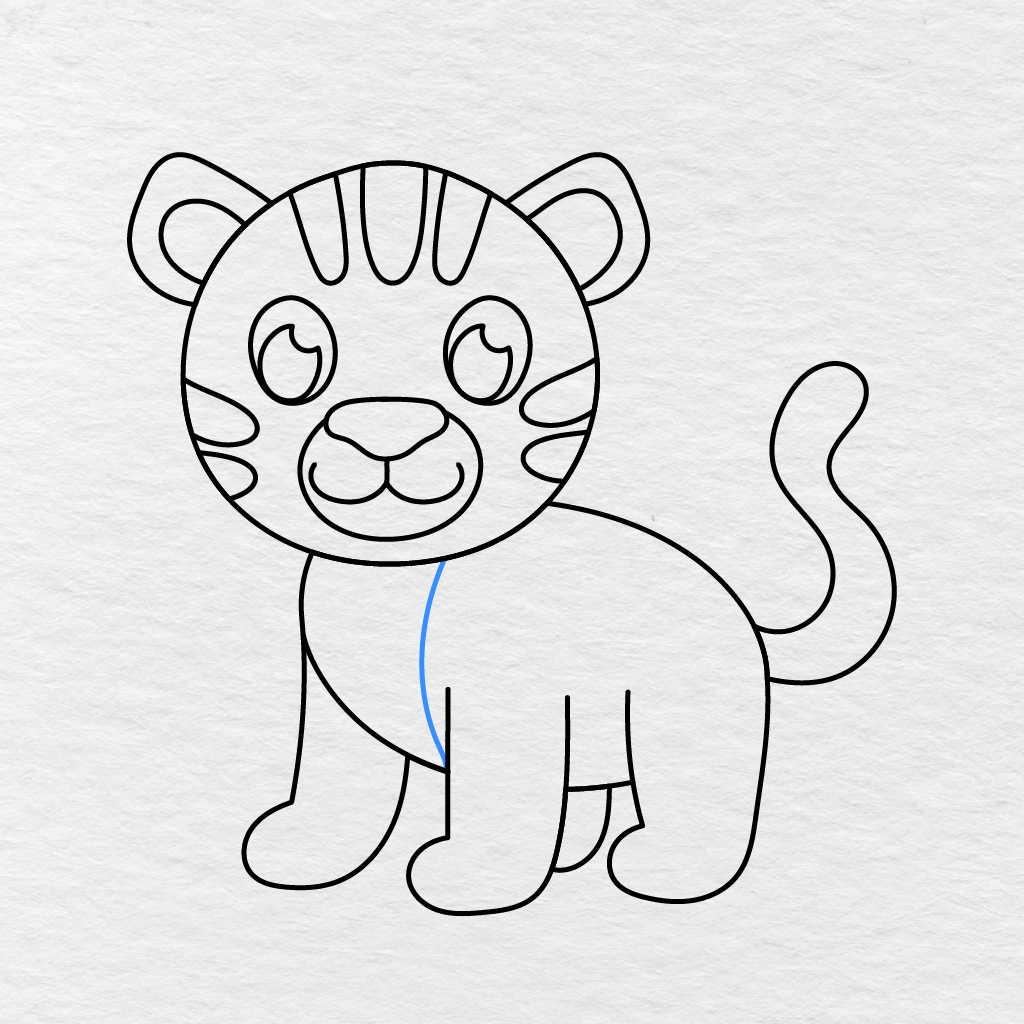 Step 10 Showing A Curved Line Separating The Tiger’s Chest From The Body.