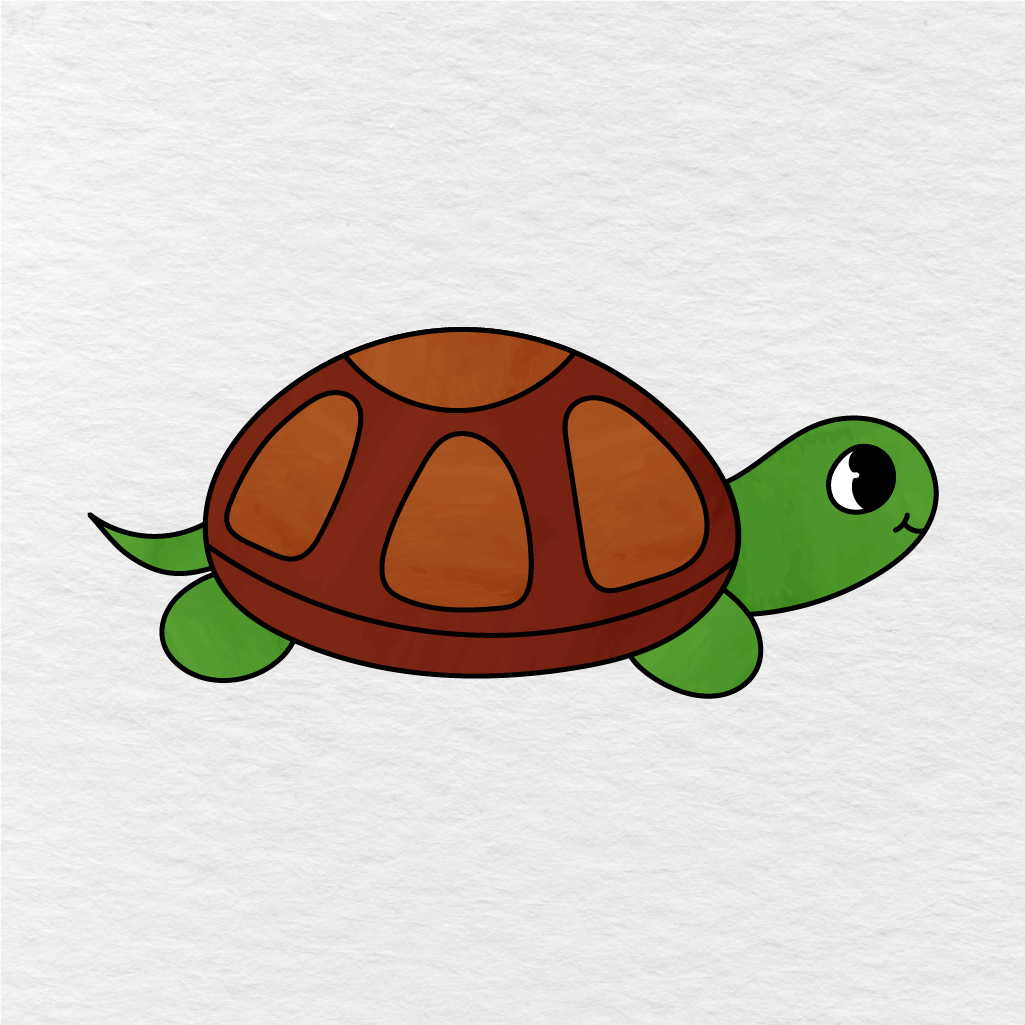 Step 7 Showing The Final Result Of A Colored Turtle Drawing.