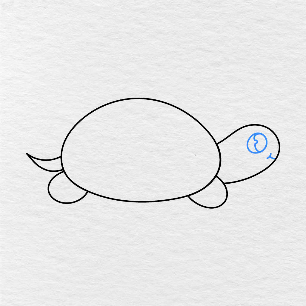 Step 5 Showing How To Draw A Turtle With A Big Eye And A Small Smile.