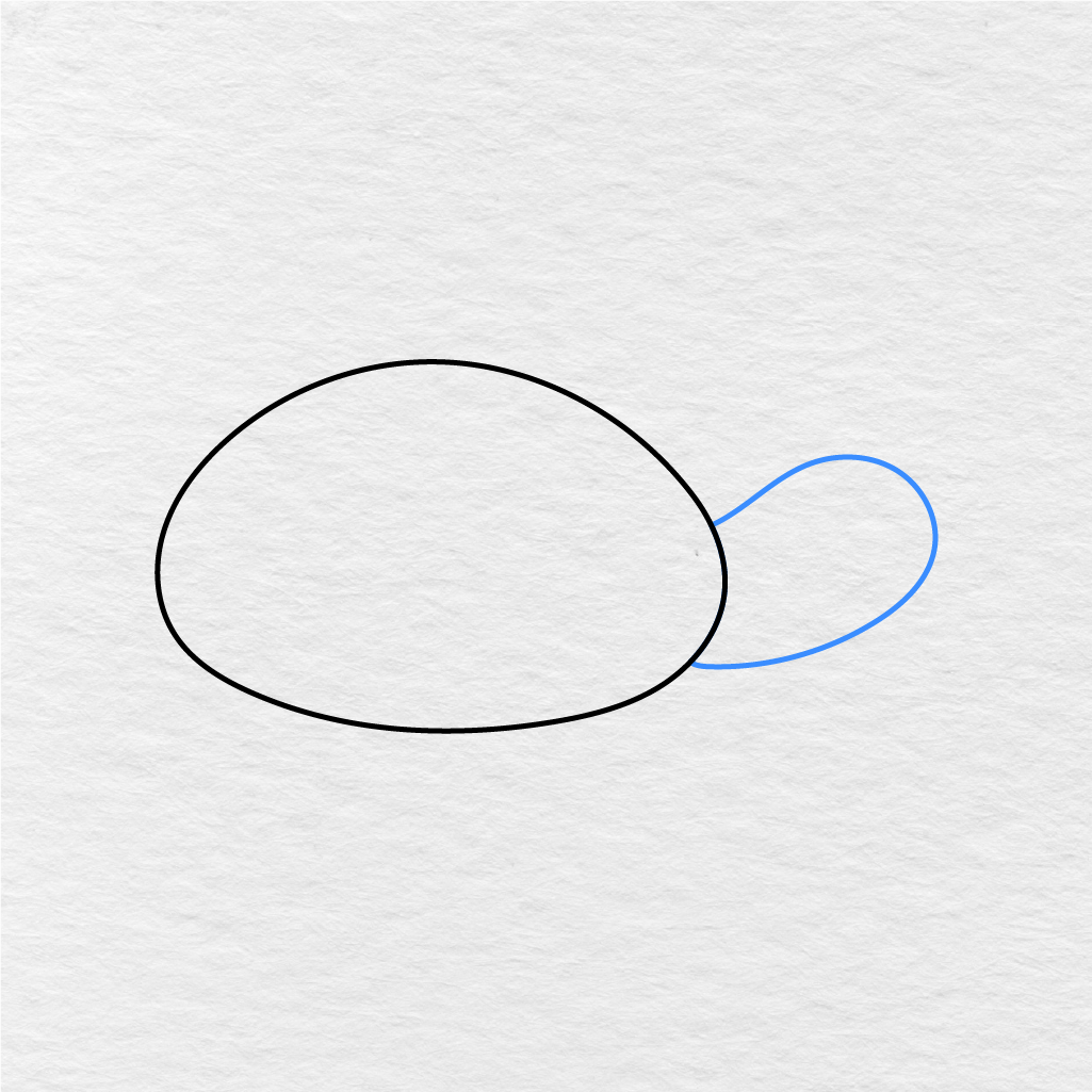 Step 2 Showing How To Draw A Turtle With A Rounded Head Added To The Shell.