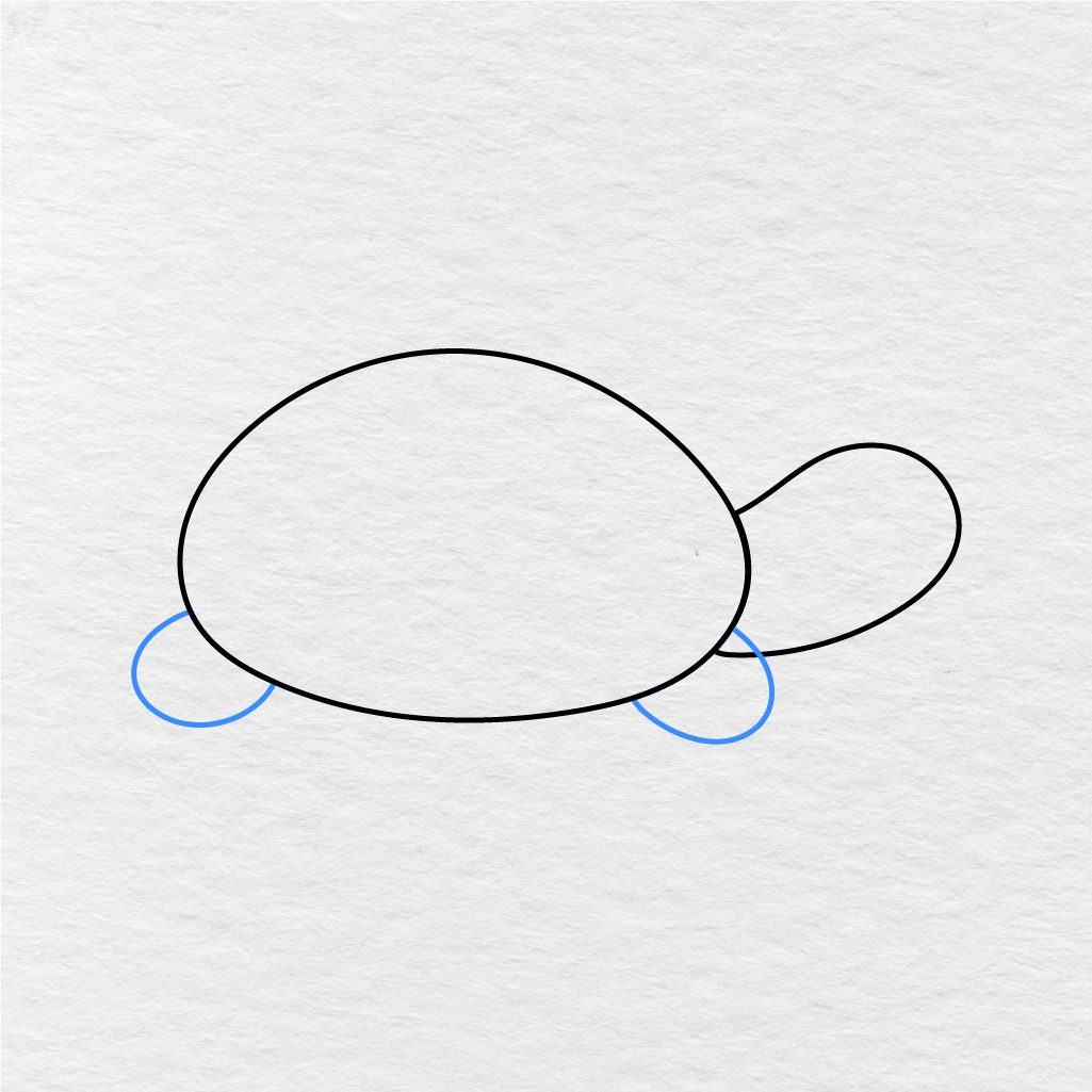 Step 3 Showing How To Draw A Turtle With Two Rounded Legs Under The Shell.