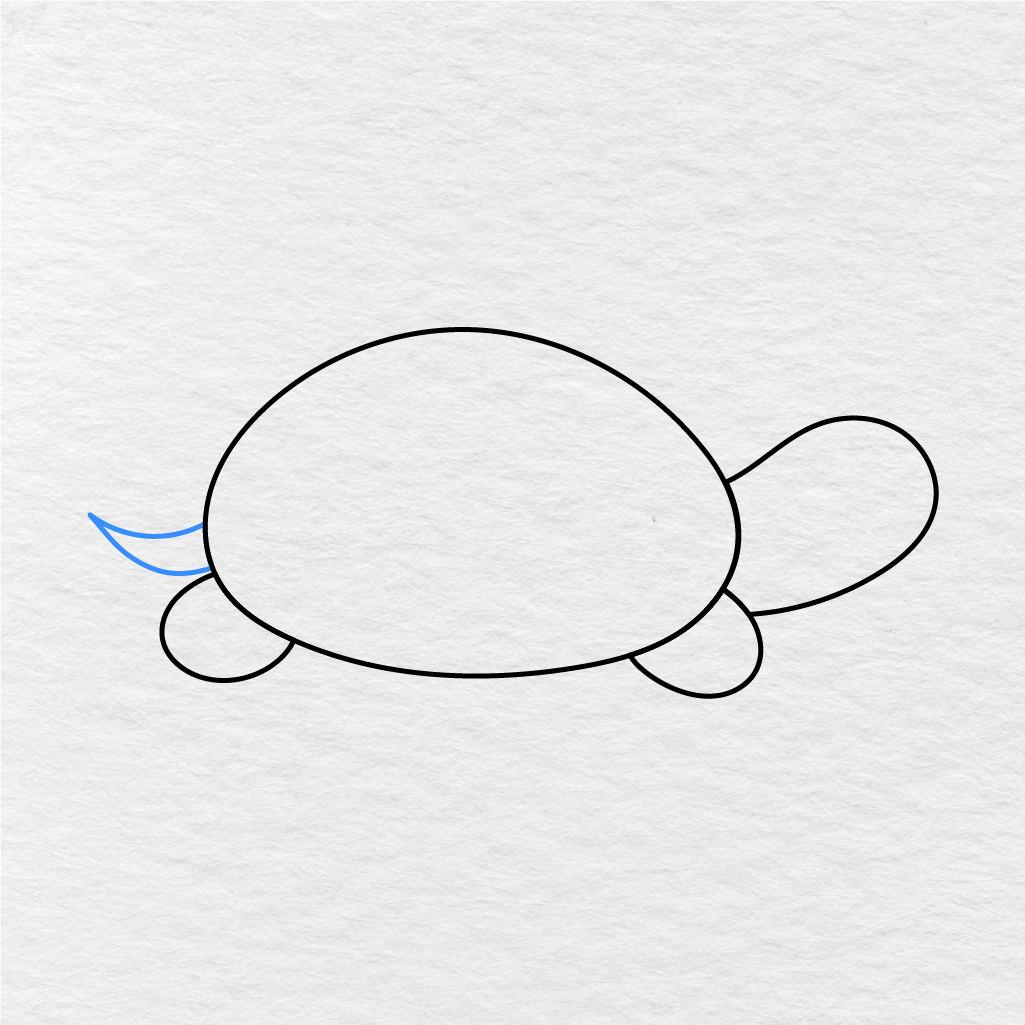 Step 4 Showing How To Draw A Turtle With A Small Pointed Tail.