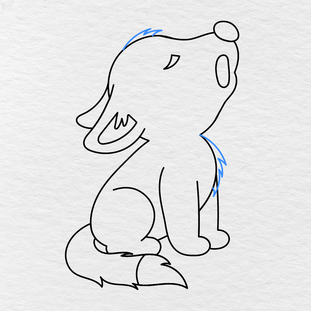 Step 9 Showing Pointed Fur Tufts Added To The Wolf’s Head, Neck, And Chest.