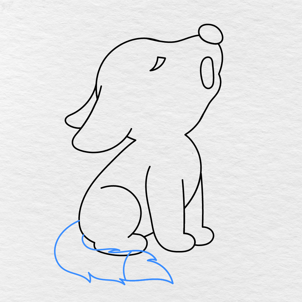 Step 7 Showing A Large Bushy Tail Curving Behind The Wolf And Along The Ground.
