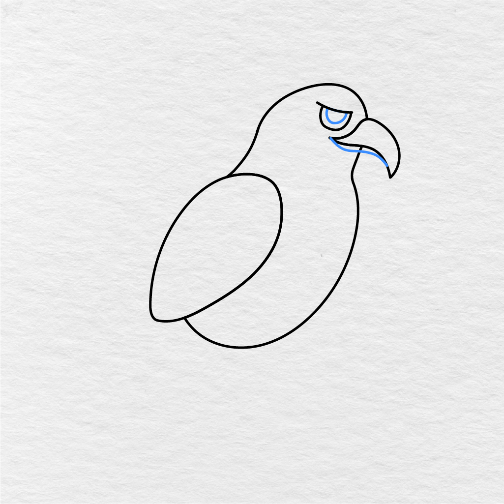 Step 5 Showing How To Draw An Eagle With Beak Detail And A Small Eye Detail.
