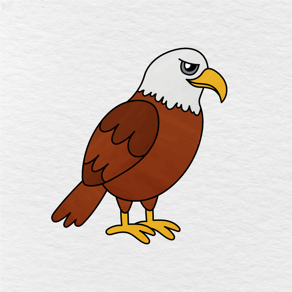 Step 12 Showing The Final Result Of A Colored Eagle Drawing With A White Head And Brown Body.