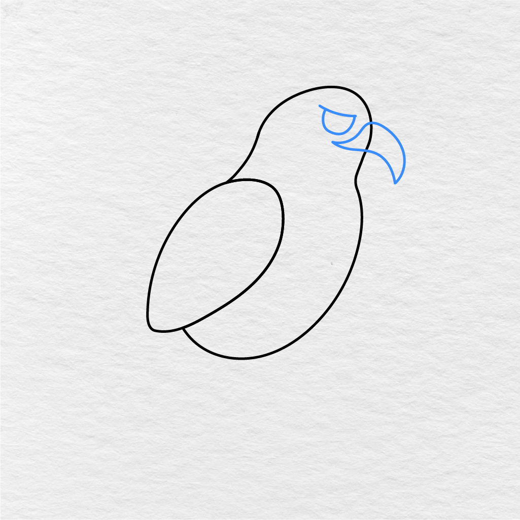 Step 4 Showing How To Draw An Eagle With An Eye And Curved Beak Added To The Head.