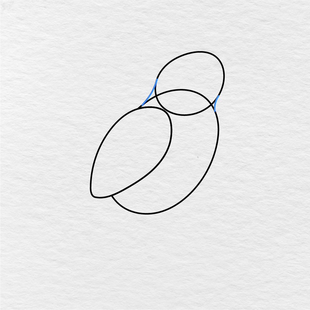 Step 3 Showing How To Draw An Eagle With Small Neck Lines Connecting The Head And Body.