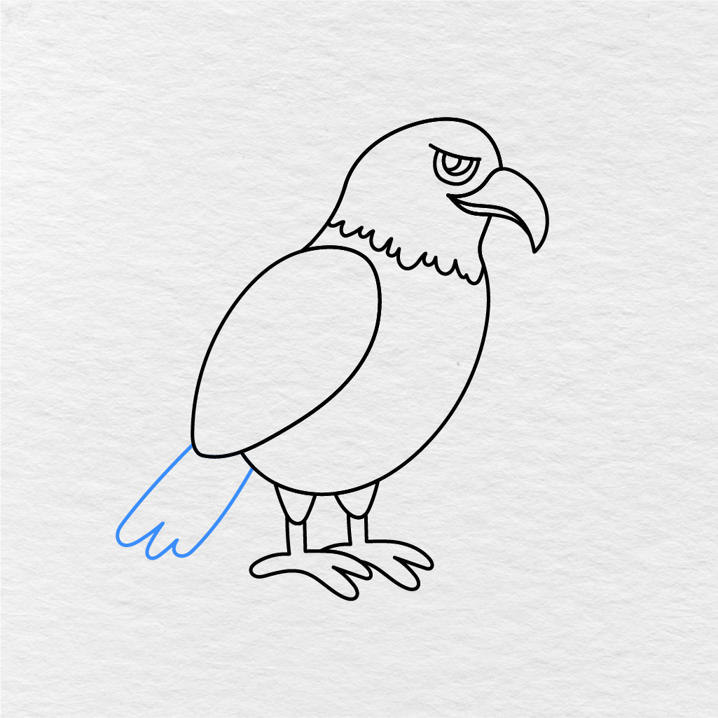 Step 10 Showing How To Draw An Eagle With Tail Feathers Added Behind The Body.
