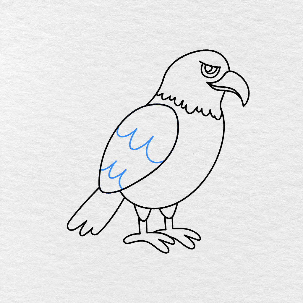 Step 11 Showing How To Draw An Eagle With Curved Feather Details Inside The Wing.