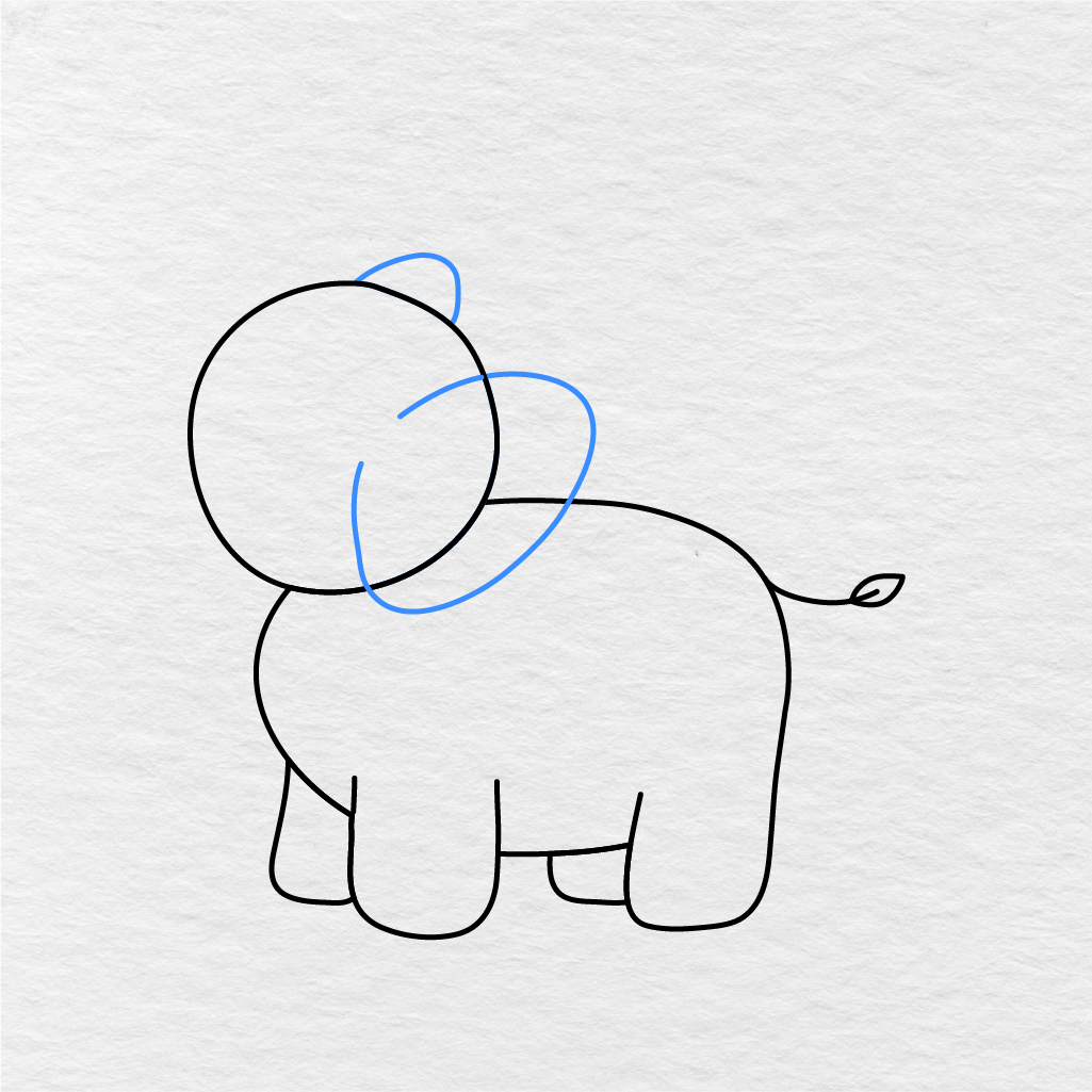 Step 5 Showing How To Draw An Elephant With A Small Back Ear And Large Front Ear.