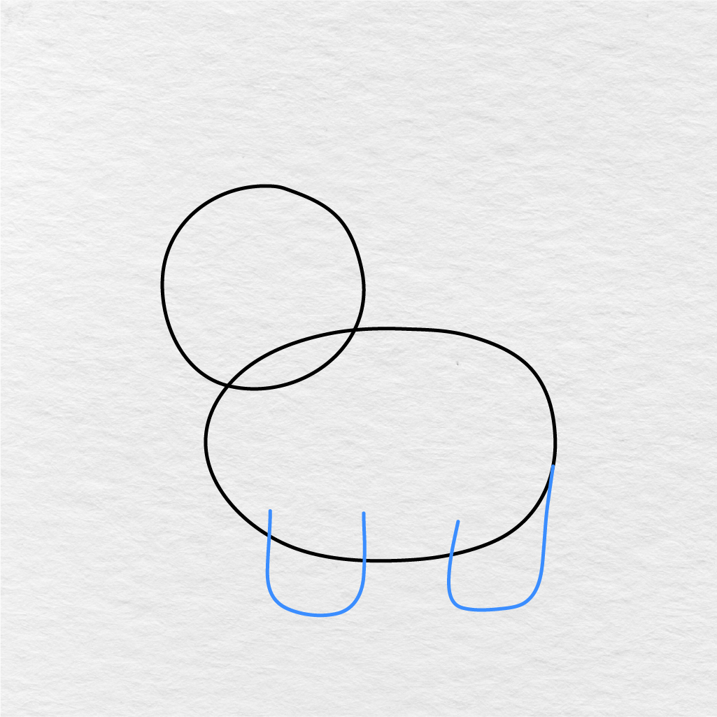 Step 3 Showing How To Draw An Elephant With Two Rounded Front Legs.