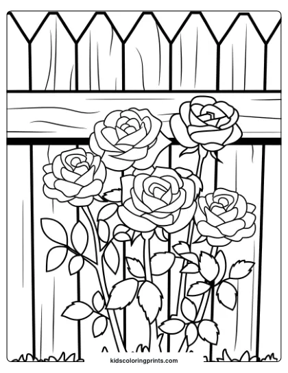 Garden Coloring Page Of Roses Against A Wooden Fence, Offering A Peaceful, Natural Scene With Floral Details.