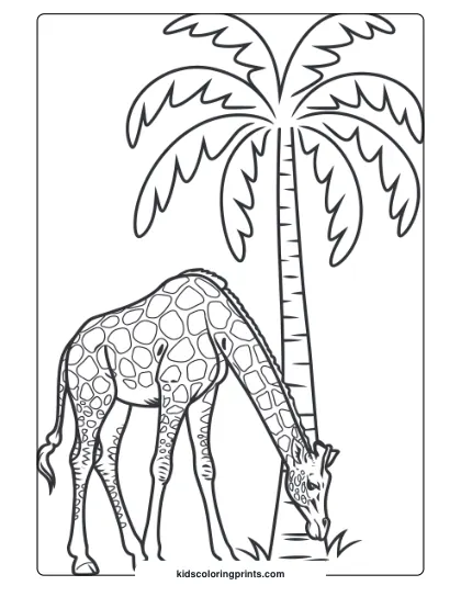 Giraffe By A Palm Tree In A Tropical Coloring Page, Ideal For Kids Who Love Exotic Landscapes.