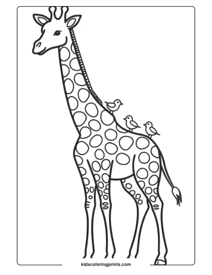 Giraffe And Birds Together In A Calming Coloring Page, Perfect For Animal Lovers.