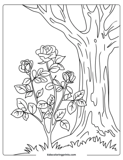 Rose Bush Coloring Page By An Old Tree, Showing A Serene Nature Scene With Detailed Flowers And Leaves.