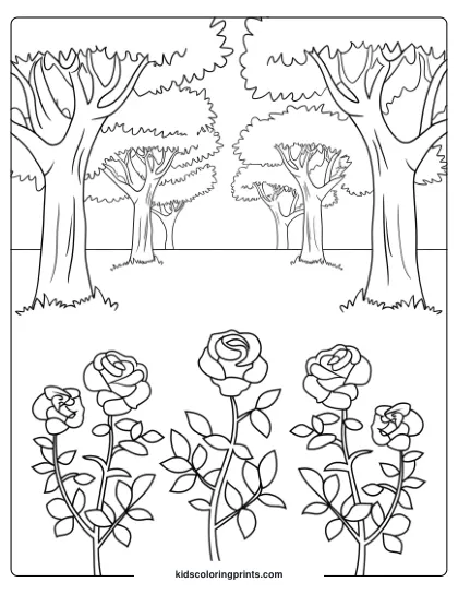 Coloring Page Of A Rose Garden With Tall Trees, Perfect For Capturing Nature’s Quiet Beauty In A Forest Scene.