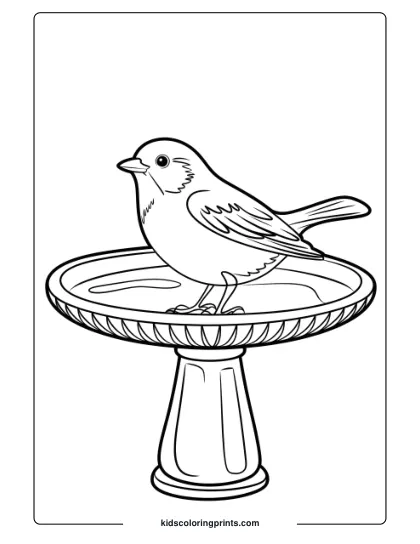 A Bird On A Bird Bath, Perfect For A Serene And Classic Bird Coloring Page.