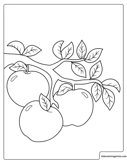 Apples On Tree Branches Coloring Page With Leaves.