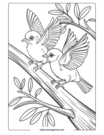Baby Birds Learning To Fly On A Branch In A Charming Bird Coloring Page Designed For Kids.