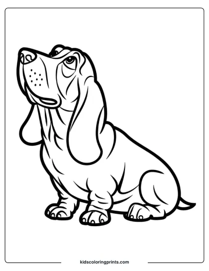 Basset Hound Sitting With Droopy Ears Looking Up In A Dog Coloring Page.