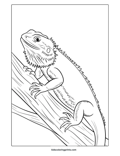 A Bearded Dragon Coloring Page Featuring A Detailed Lizard With Textured Scales And A Spiky Beard.
