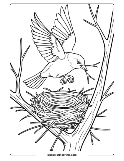 A Bird Carrying A Twig To A Nest, Perfect For A Natural And Educational Bird Coloring Page For Kids.