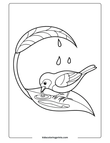 A Bird Drinking From A Leaf, Perfect For A Serene And Nature-Themed Bird Coloring Page For Kids.