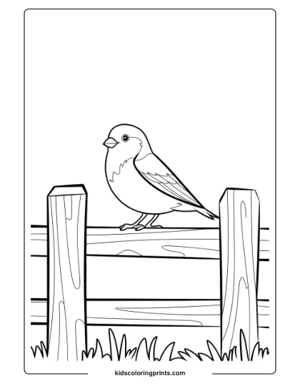 A Bird On A Fence In The Countryside, Perfect For A Simple And Rustic Bird Coloring Page.