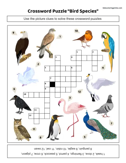 Free Printable Birds Crossword Puzzle For Learning Bird Names.