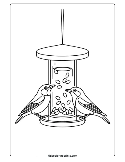 Birds Pecking At A Bird Feeder, Great For A Nature-Themed Bird Coloring Page For Children.