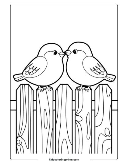 Birds On A Wooden Fence, Perfect For A Simple And Nature-Themed Bird Coloring Page For Children.