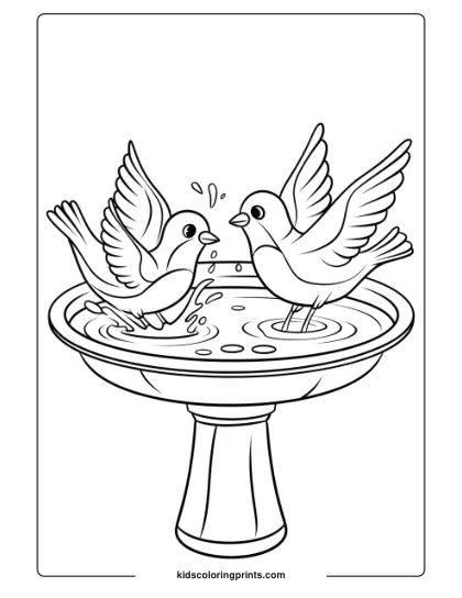 Birds Playing In A Bird Bath, Ideal For A Fun And Playful Bird Coloring Page For Children.